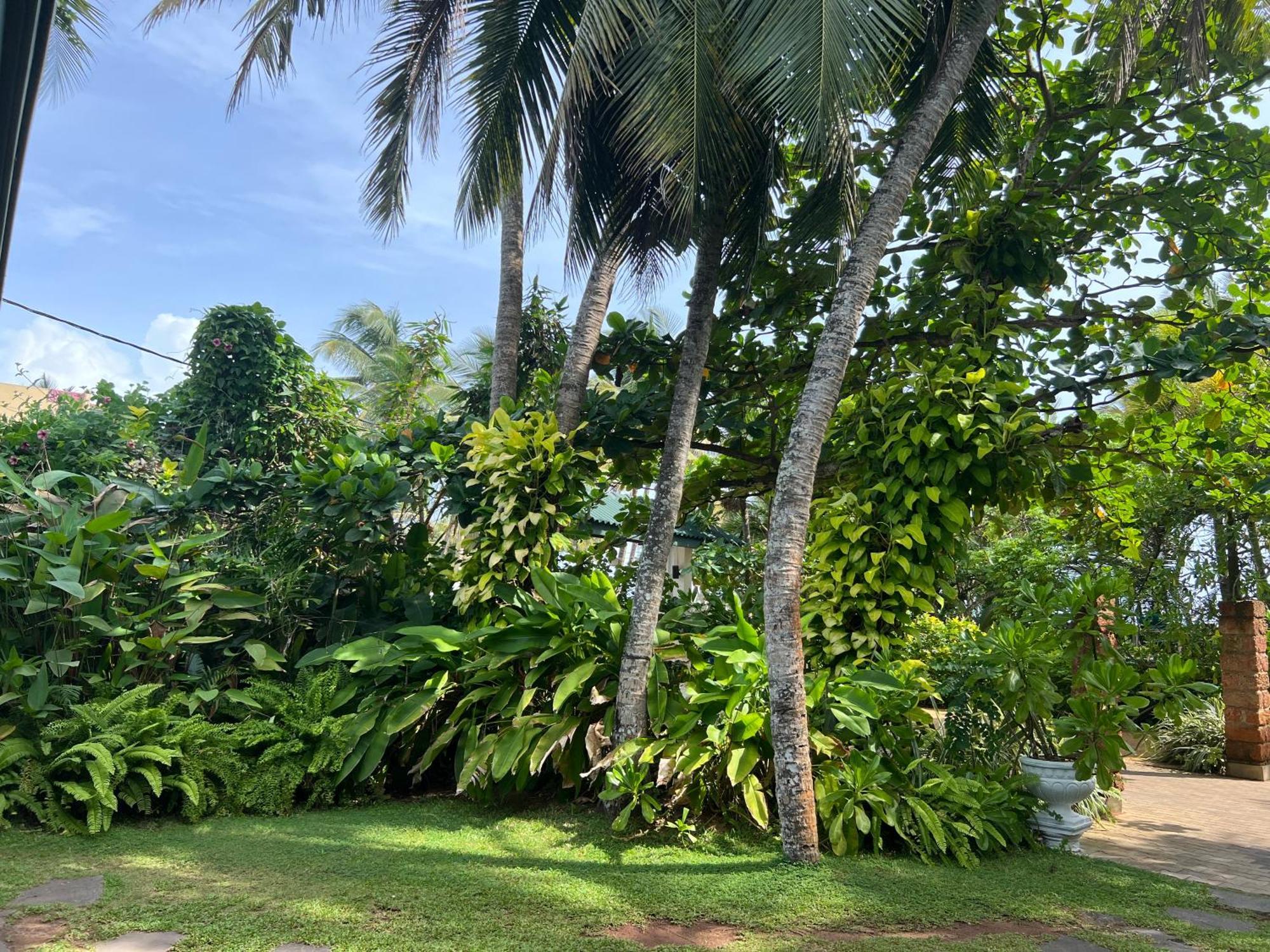 Lohas Beach Resort Villa Kalutara Esterno foto