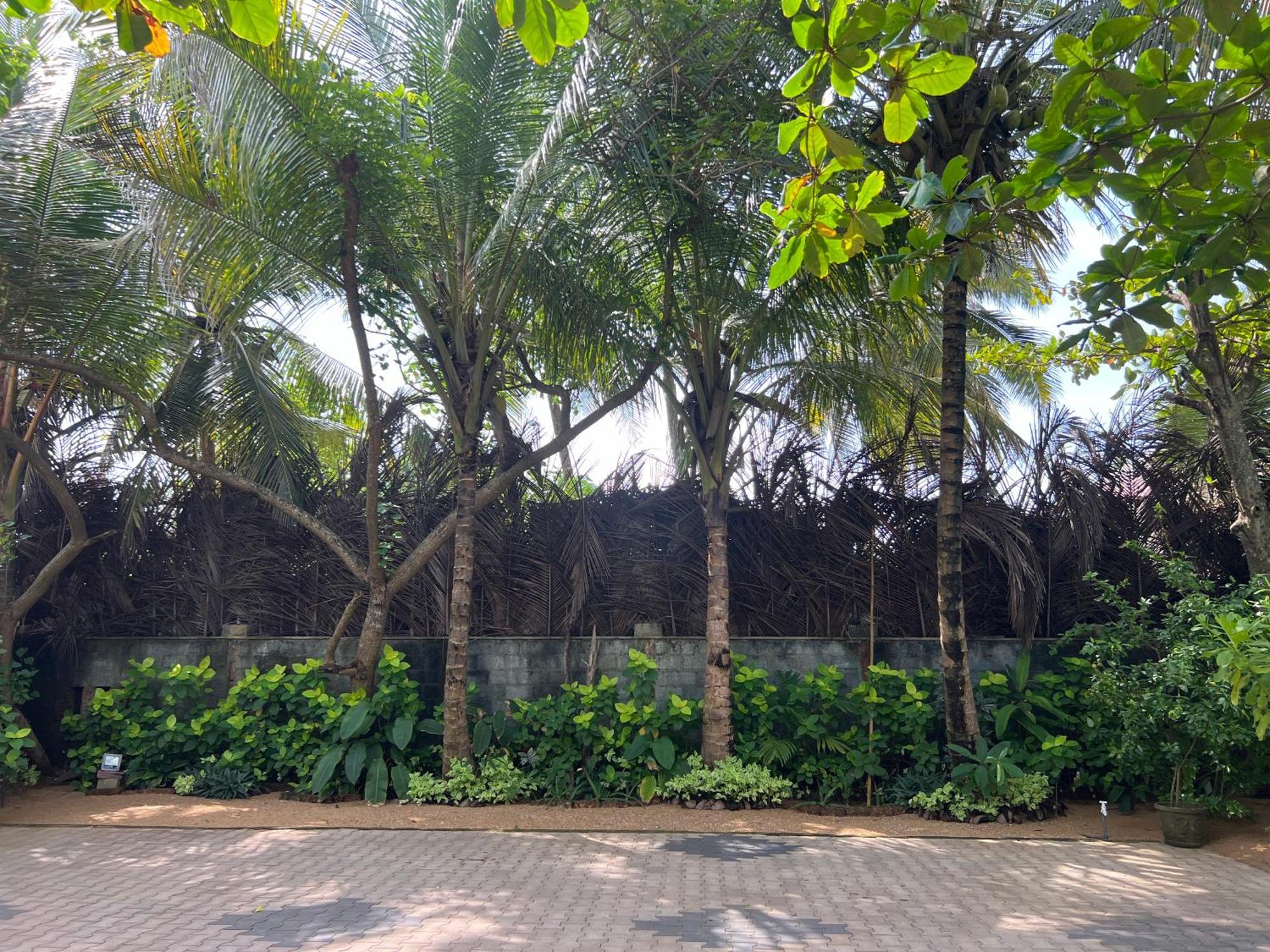 Lohas Beach Resort Villa Kalutara Esterno foto
